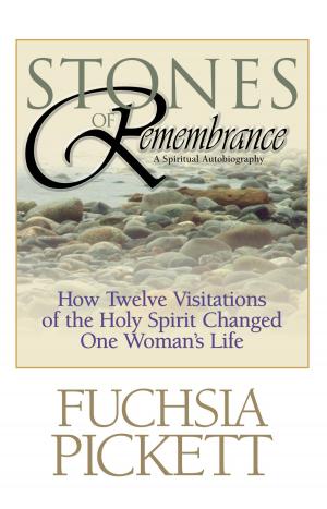 Book cover of Stones of Remembrance