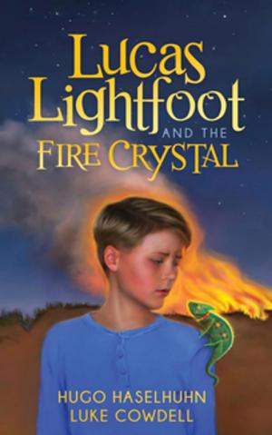 Cover of the book Lucas Lightfoot and the Fire Crystal by David Kohout, Kathleen Palumbo