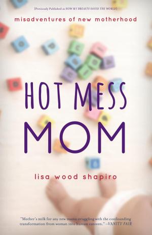 Cover of the book Hot Mess Mom by Carmela LaVigna Coyle