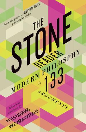 Cover of The Stone Reader: Modern Philosophy in 133 Arguments