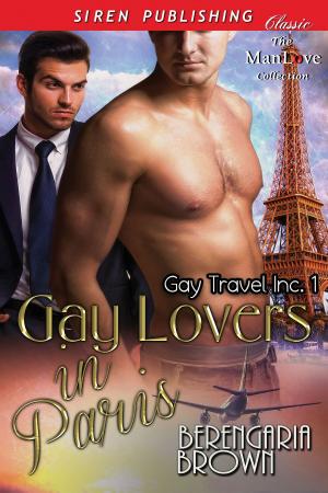 Cover of the book Gay Lovers in Paris by Terry Towers