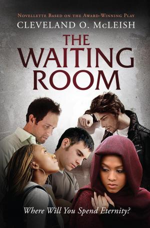 Cover of the book The Waiting Room I by Dimitri Kelly