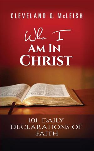 Cover of the book Who I Am In Christ by David Platt