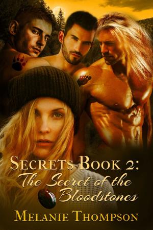 Cover of the book The Secret of the Bloodstones by Michelle Marquis