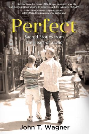 Cover of the book Perfect by Christopher Bowron