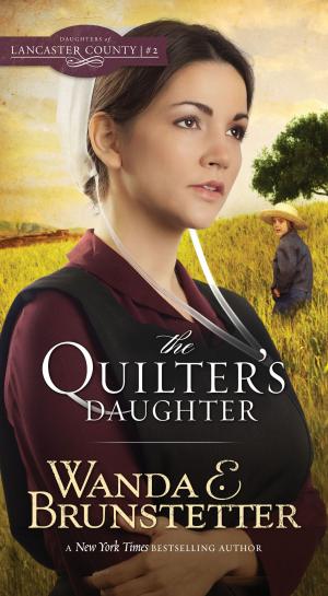 Cover of the book The Quilter's Daughter by Mike Yorkey, Marcus Brotherton, Matt Weeda