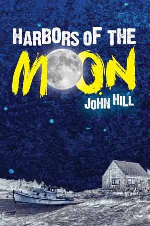 Cover of the book Harbors of the Moon by Robert Orfali
