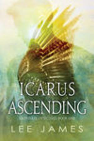 Cover of the book Icarus Ascending by Allison Cassatta