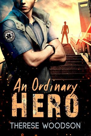 bigCover of the book An Ordinary Hero by 