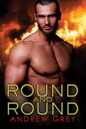 Cover of the book Round and Round by Rick R. Reed