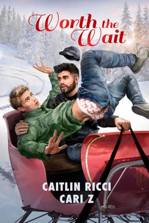 Cover of the book Worth the Wait by Amy Spector
