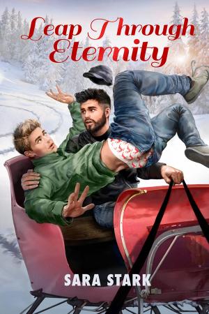 Cover of the book Leap Through Eternity by Clare London