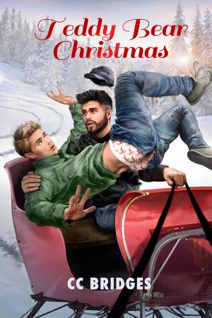 Cover of the book Teddy Bear Christmas by Lane Hayes