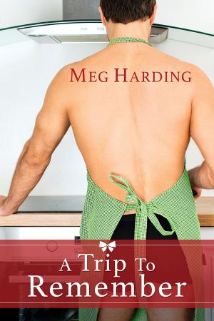 Cover of the book A Trip to Remember by Hallie Burton