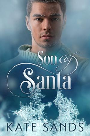 Cover of the book Son of Santa by Jan Irving