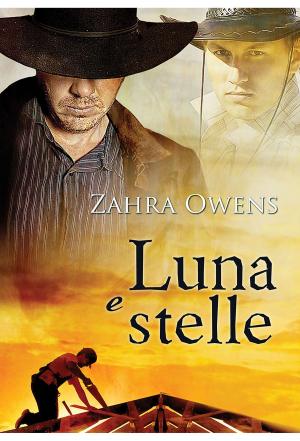 Cover of the book Luna e stelle by Isabelle Rowan