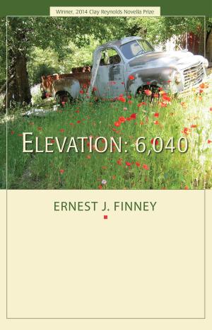 Cover of the book Elevation: 6,040 by Dr. Jeffrey R. Di Leo