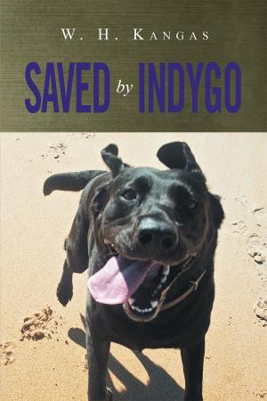 Cover of the book Saved by Indygo Part 1 by Pastor Brenda Lumzy Hicks