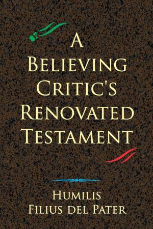 Cover of the book A Believing Critic’s Renovated Testament by Dr. jur. Dieter Aebi, Dr. med. Markus Bourquin, Dr. chem. Ruedi Hartmann