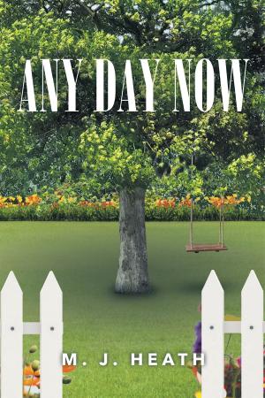 Cover of the book Any Day Now by Anne d’ Auray Tracy