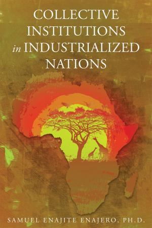 Book cover of COLLECTIVE INSTITUTIONS IN INDUSTRIALIZED NATIONS: Economic Lessons for sub-Saharan Africa