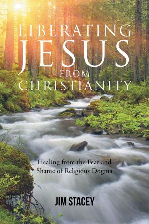 Cover of the book Liberating Jesus from Christianity: Healing from the Fear and Shame of Religious Dogma by Barry F Parker