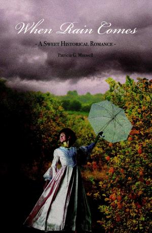 Cover of the book When Rain Comes by Selena