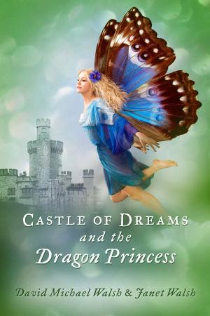 Cover of the book Castle of Dreams and the Dragon Princess by Yuri Garfunkel, Bruno Mestriner, Claudette Ubekha Charles