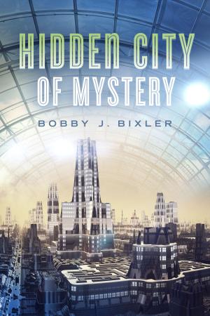 bigCover of the book The Hidden City of Mystery by 