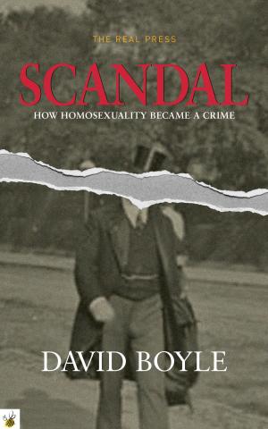 Cover of the book Scandal by J.D. Kinman