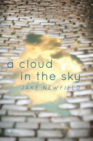 bigCover of the book A Cloud in the Sky by 