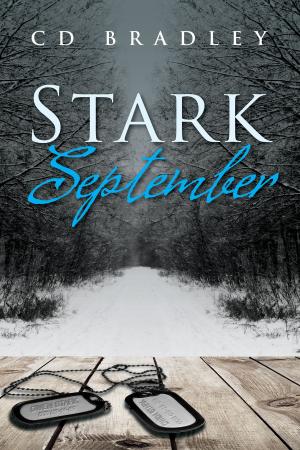 Cover of the book Stark September by Simon Thresher