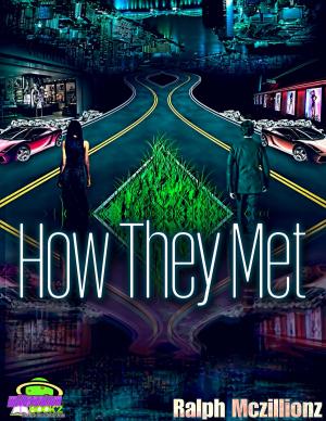 Cover of the book How They Met by William P. Robertson, David Rimer