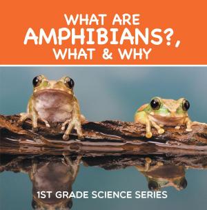 Cover of the book What Are Amphibians?, What & Why : 1st Grade Science Series by Kacy Carlson