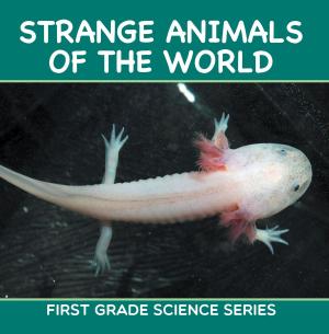 Cover of the book Strange Animals Of The World : First Grade Science Series by Baby Professor
