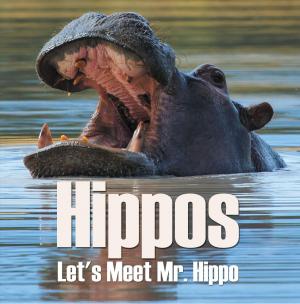 Cover of Hippos - Let's Meet Mr. Hippo