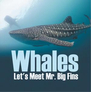 Cover of the book Whales - Let's Meet Mr. Big Fins by Kalyn Lorenz