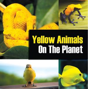 Cover of the book Yellow Animals On The Planet by Baby Professor
