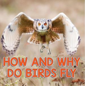 bigCover of the book How and Why Do Birds Fly by 