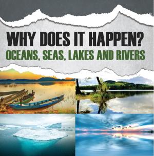 Cover of the book Why Does It Happen?: Oceans, Seas, Lakes and Rivers by Baby Professor