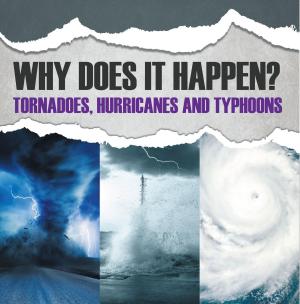 Cover of the book Why Does It Happen: Tornadoes, Hurricanes and Typhoons by Third Cousins, Alexis Volks