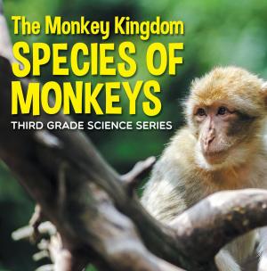 Cover of the book The Monkey Kingdom (Species of Monkeys) : 3rd Grade Science Series by Janet Evans