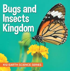 Cover of Bugs and Insects Kingdom : K12 Earth Science Series