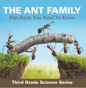 Cover of the book The Ant Family - Fun Facts You Need To Know : Third Grade Science Series by Baby Professor