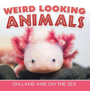Cover of the book Weird Looking Animals On Land and On The Sea by Janet Evans