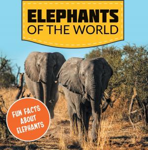 Book cover of Elephants of the World: Fun Facts About Elephants