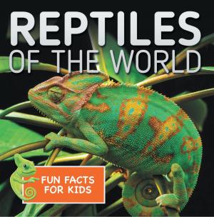 Cover of the book Reptiles of the World Fun Facts for Kids by Kacy Carlson