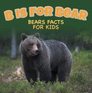 Cover of the book B is for Bear: Bears Facts For Kids by Jupiter Kids