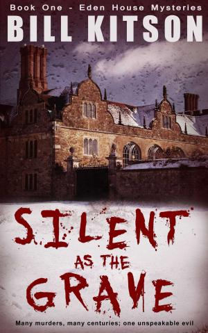 Cover of the book Silent as the Grave by James Green