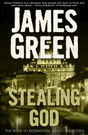 Cover of the book Stealing God by K D Grace